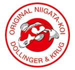 Original Niigata Koi