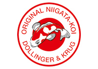 Original Niigata Koi