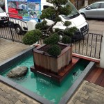 Eingang mit Bonsai