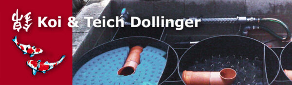 EASYKOI Filteranlage Koi & Teich Dollinger