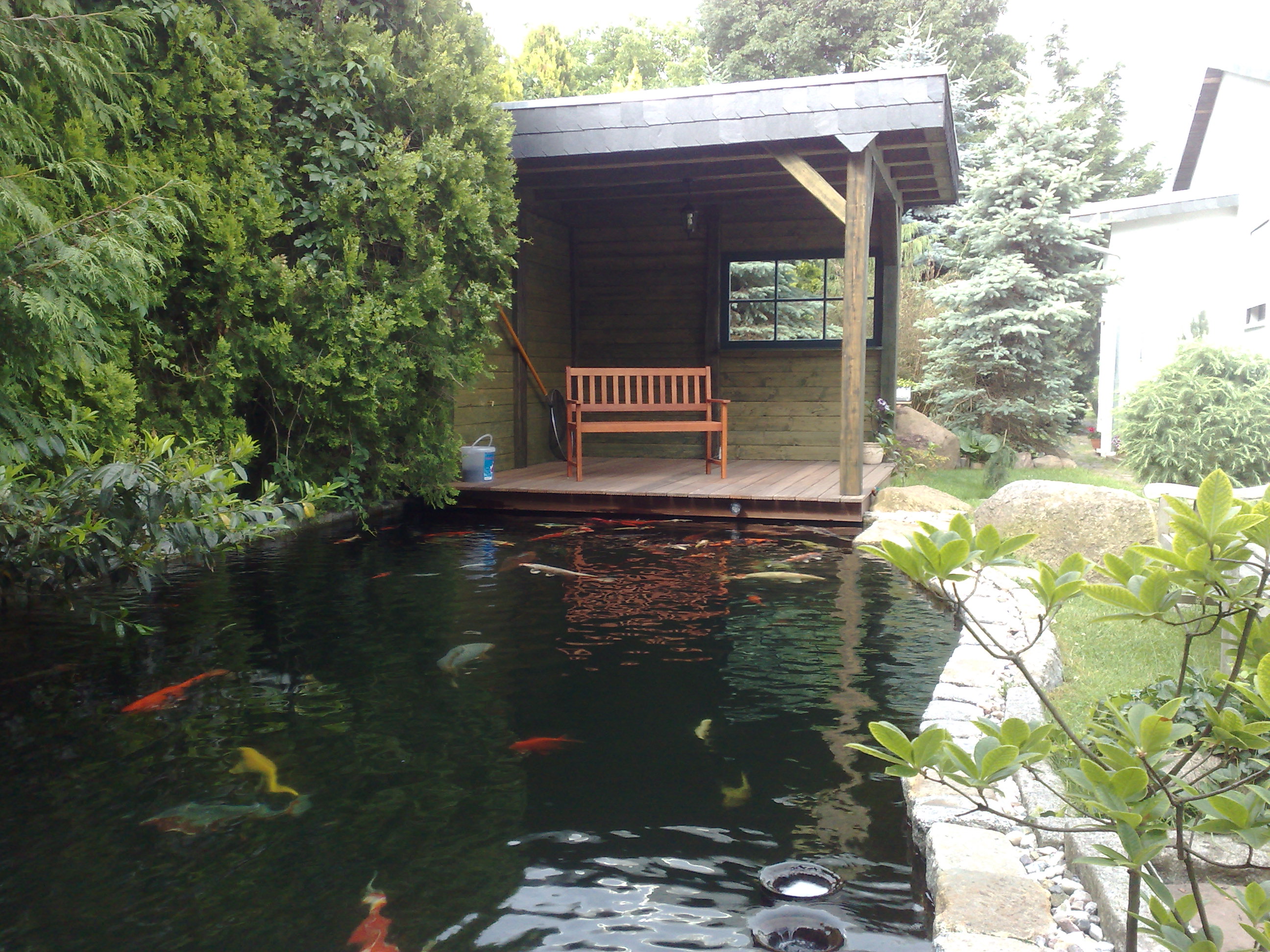 Koiteiche Koi & Teich Dollinger